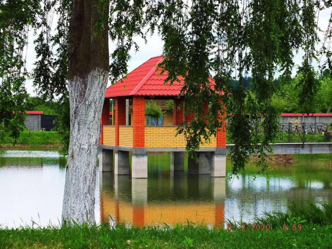 Illara Spa Hotel Irshava Exteriör bild