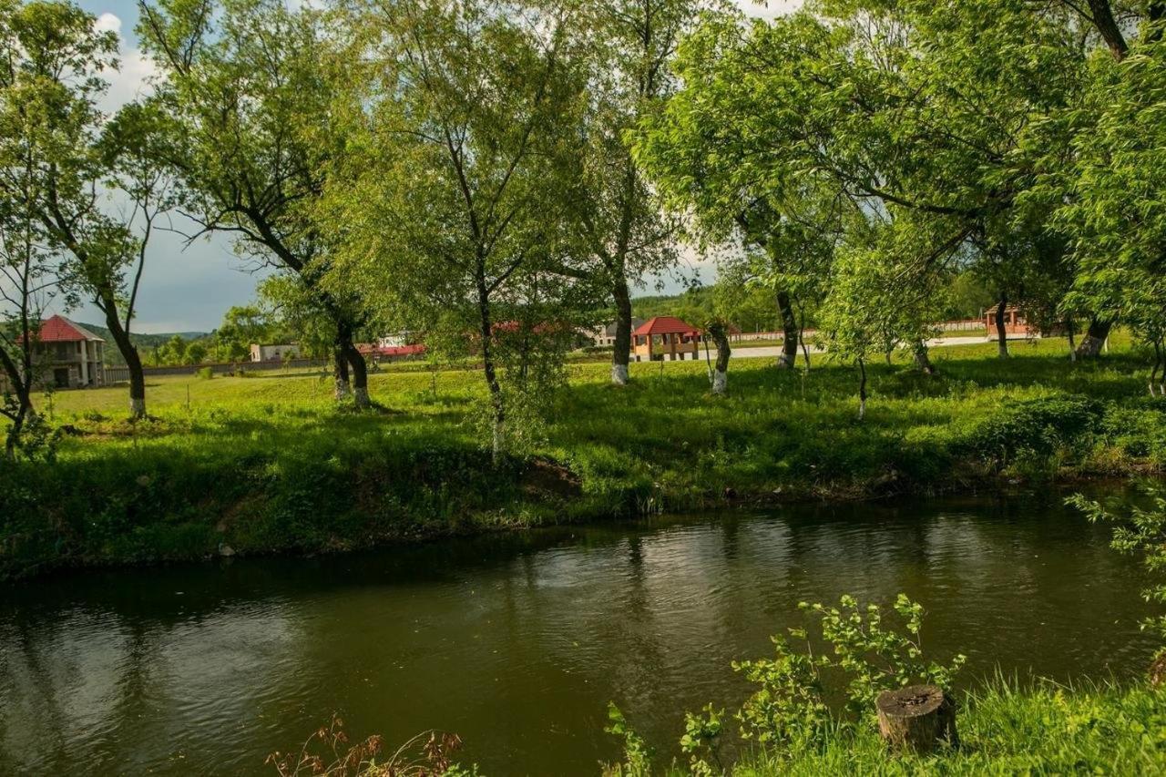 Illara Spa Hotel Irshava Exteriör bild