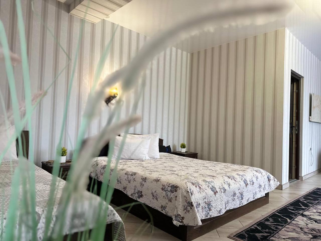 Illara Spa Hotel Irshava Exteriör bild