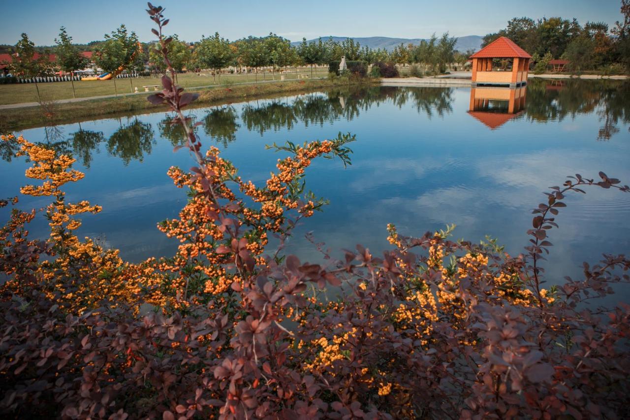 Illara Spa Hotel Irshava Exteriör bild