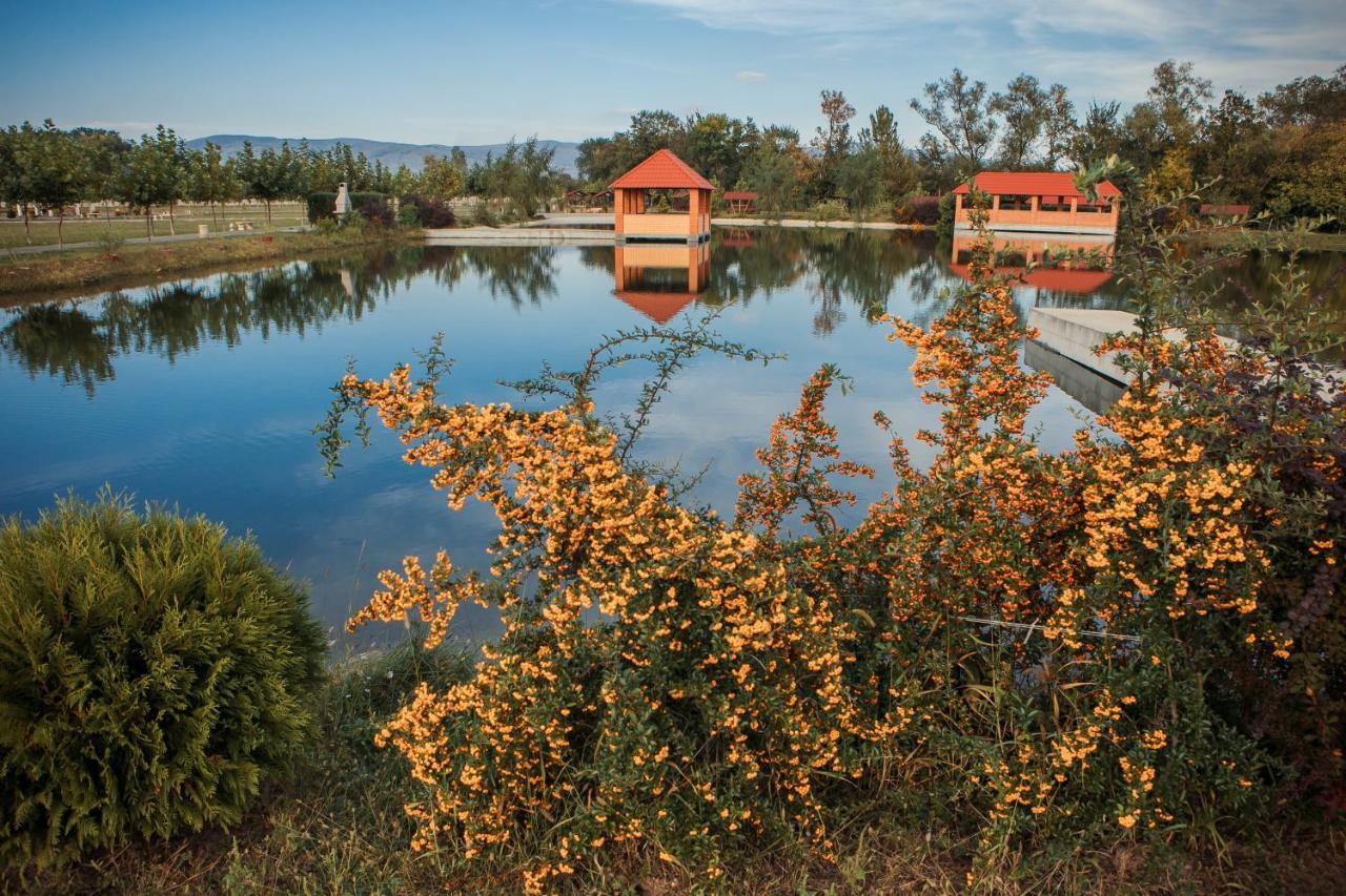 Illara Spa Hotel Irshava Exteriör bild